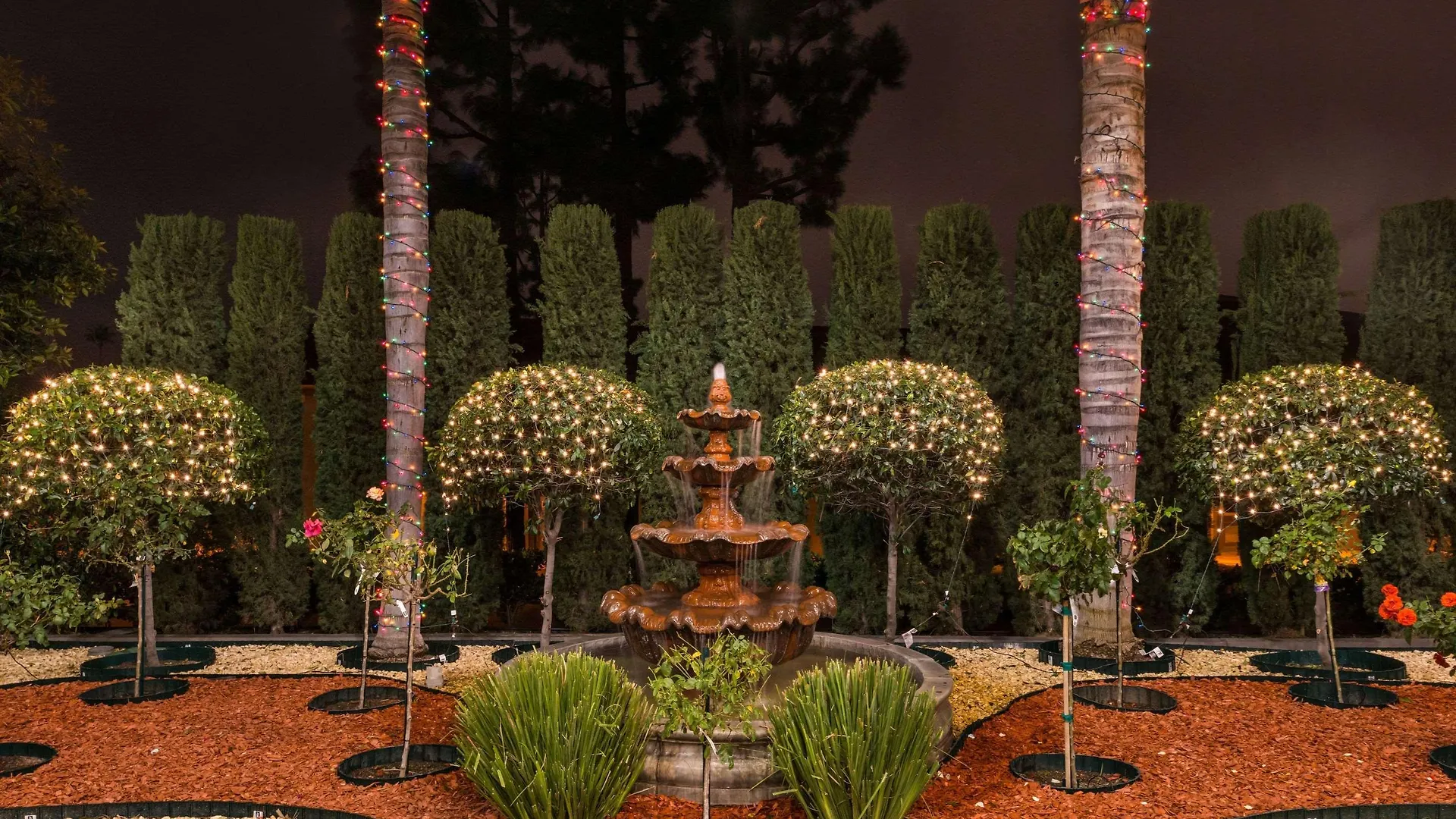 Citrus Suites Redlands Loma Linda Hotel